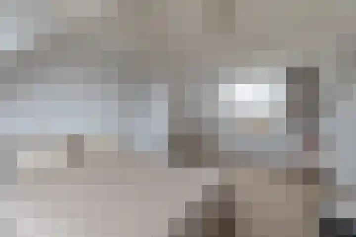 Julianalaan 80 De Rijp thumbnail 38