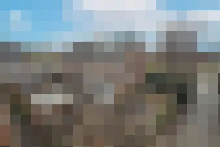 Julianalaan 80 De Rijp thumbnail 39