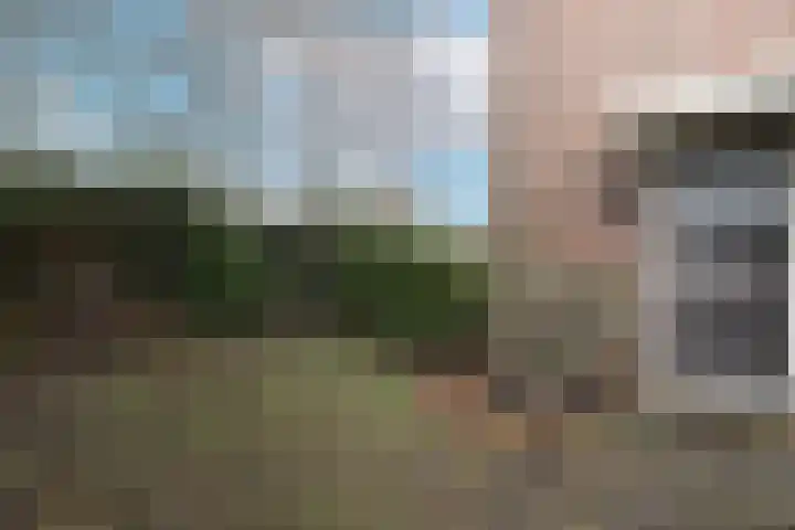 Julianalaan 80 De Rijp thumbnail 46