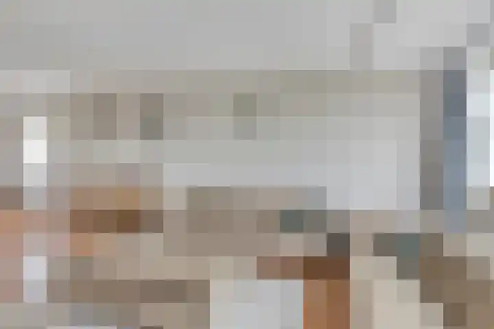 Julianalaan 80 Oss thumbnail 11