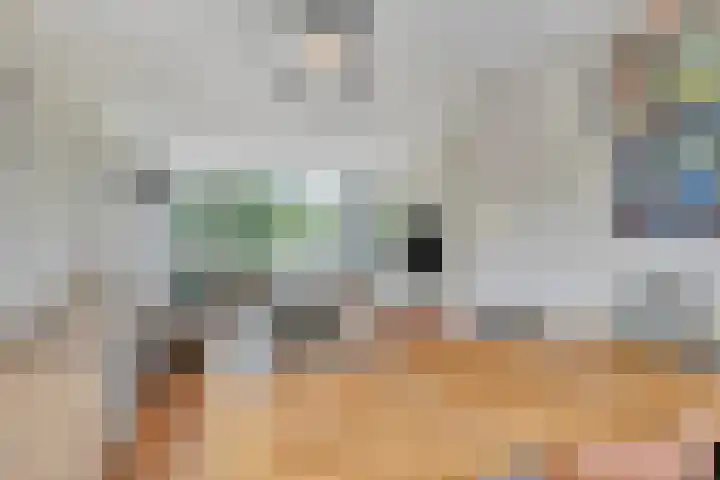 Julianalaan 80 Oss thumbnail 14