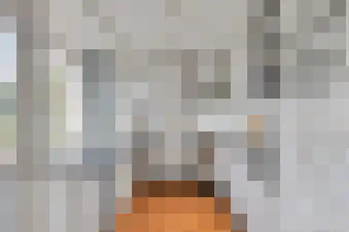Julianalaan 80 Oss thumbnail 15