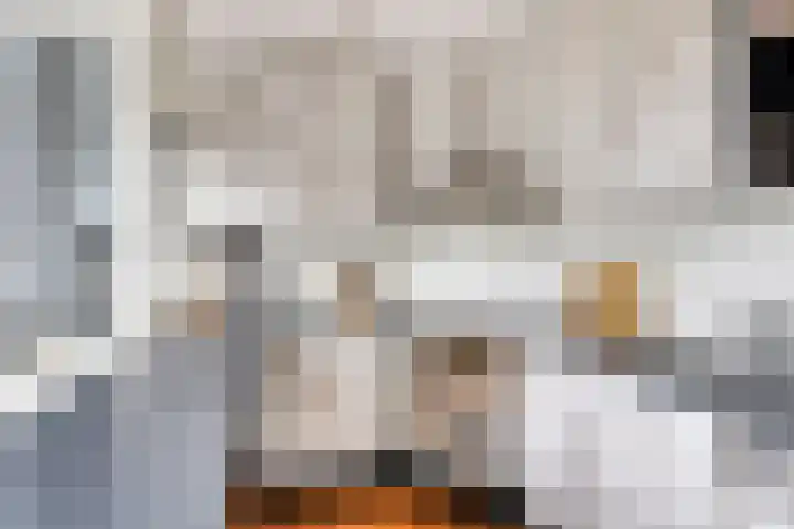 Julianalaan 80 Oss thumbnail 16
