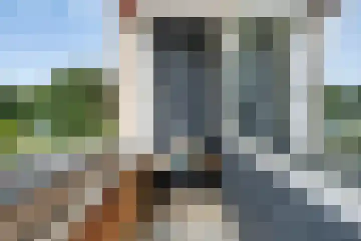 Julianalaan 80 Oss thumbnail 19