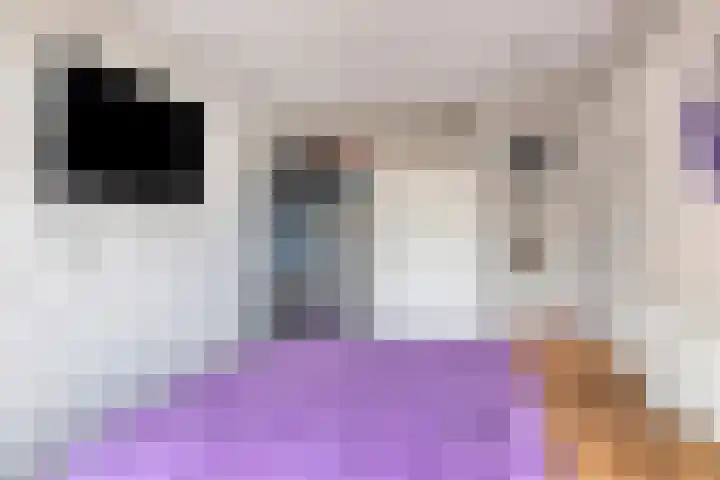 Julianalaan 80 Oss thumbnail 22