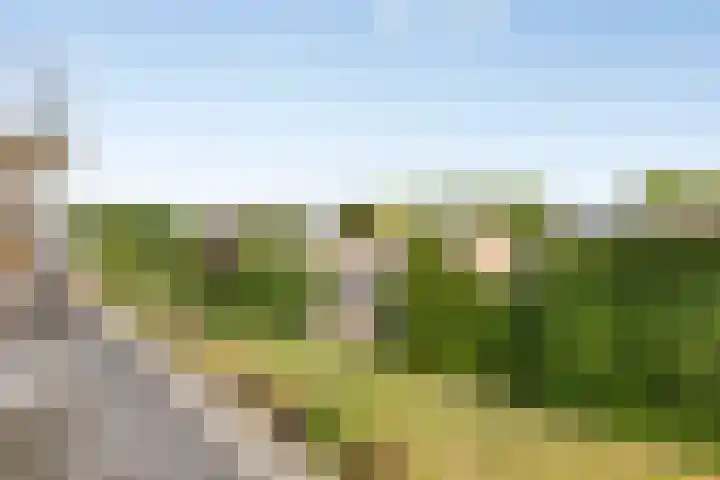 Julianalaan 80 Oss thumbnail 24