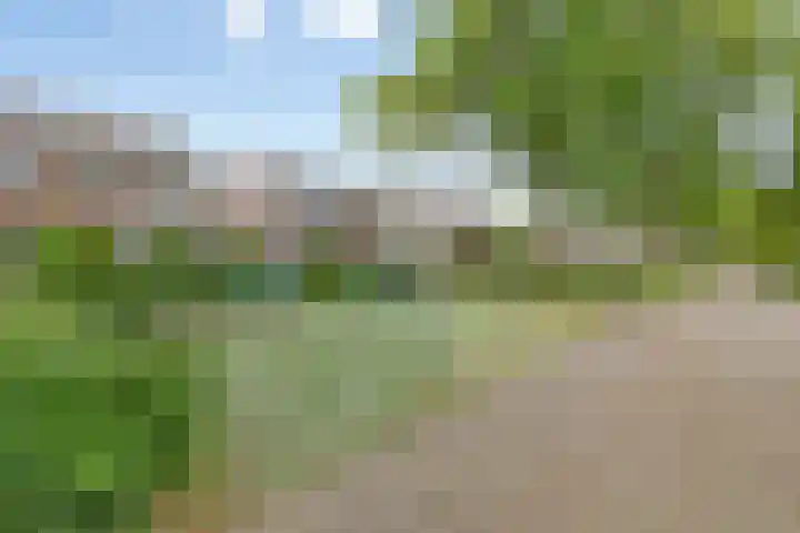 Julianalaan 80 Oss thumbnail 32