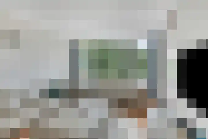 Julianalaan 80 Oss thumbnail 9
