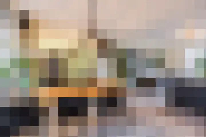 Julianalaan 80 Voorhout thumbnail 11