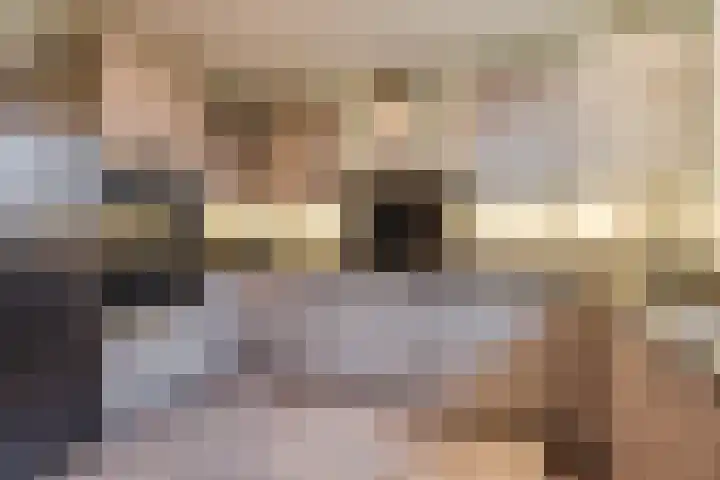 Julianalaan 80 Voorhout thumbnail 14