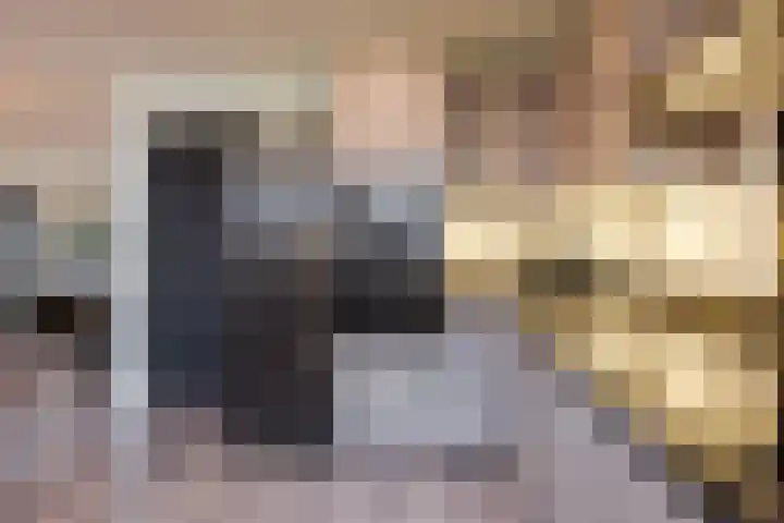 Julianalaan 80 Voorhout thumbnail 15