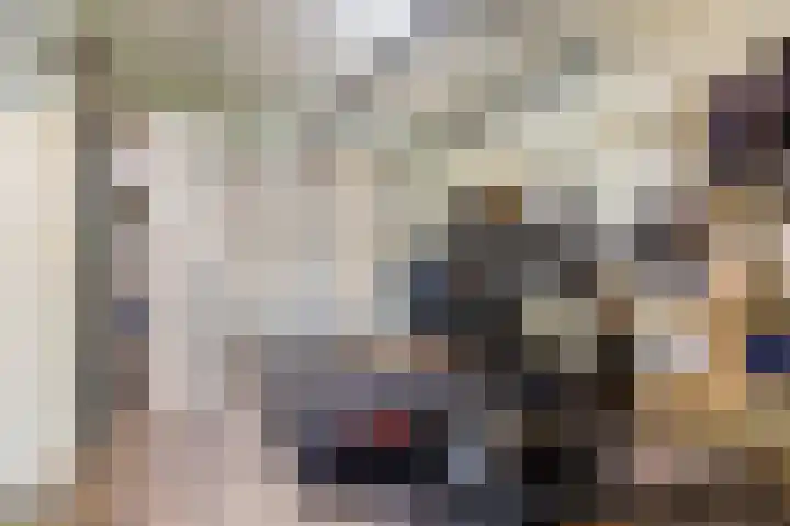 Julianalaan 80 Voorhout thumbnail 19
