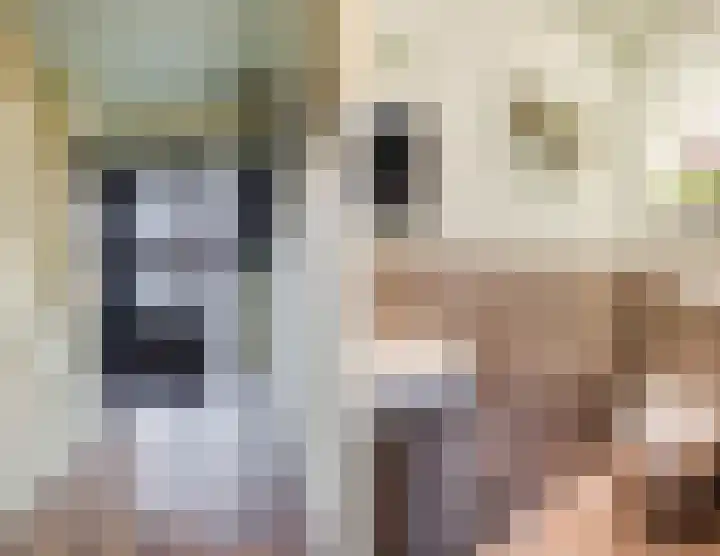 Julianalaan 80 Voorhout thumbnail 21
