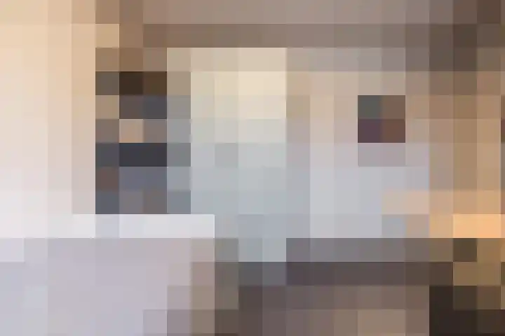 Julianalaan 80 Voorhout thumbnail 25