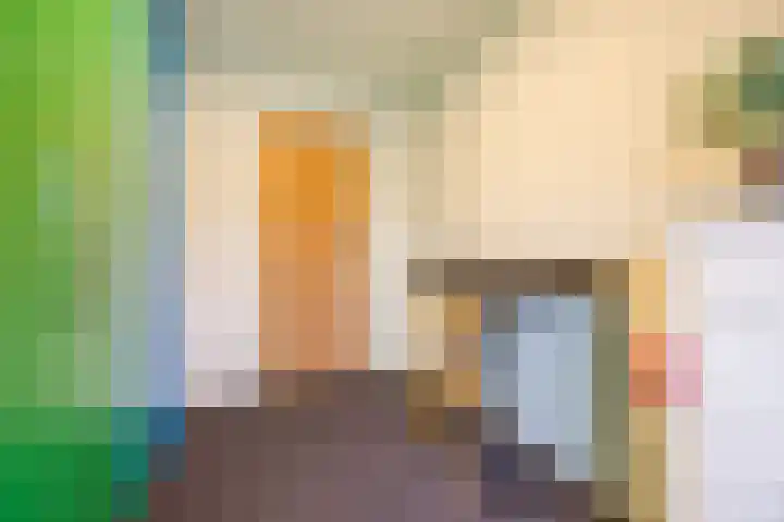 Julianalaan 80 Voorhout thumbnail 28