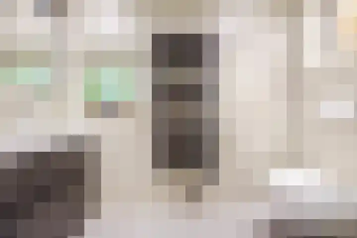 Julianalaan 80 Voorhout thumbnail 29