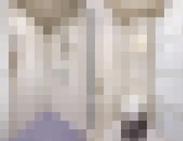 Julianalaan 80 Voorhout thumbnail 31