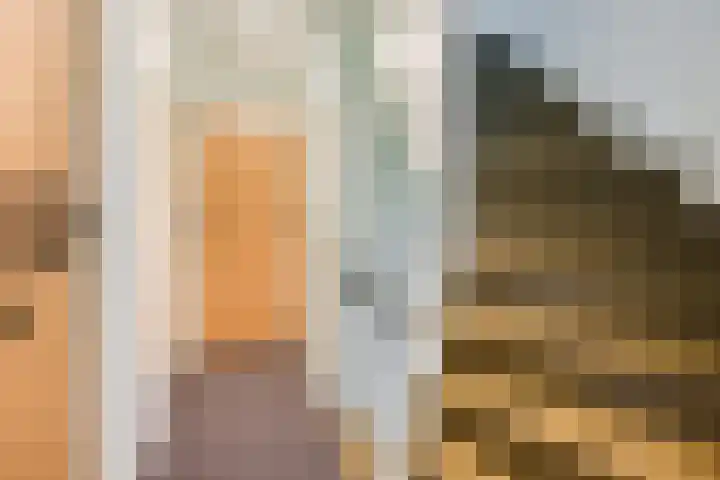 Julianalaan 80 Voorhout thumbnail 33