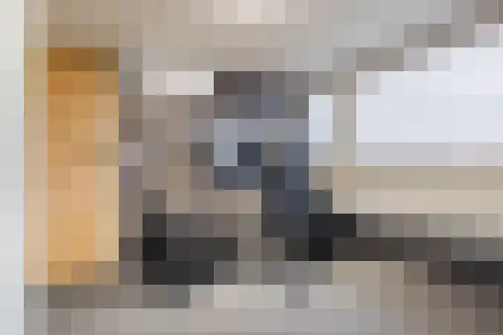 Julianalaan 80 Voorhout thumbnail 36