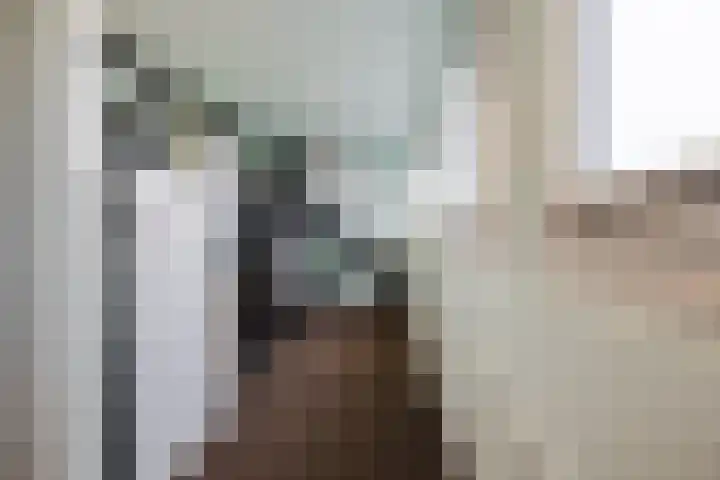 Julianalaan 80 Voorhout thumbnail 37