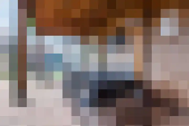 Julianalaan 80 Voorhout thumbnail 46