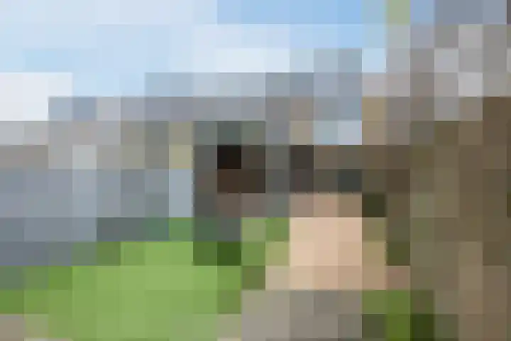 Julianalaan 80 Voorhout thumbnail 51