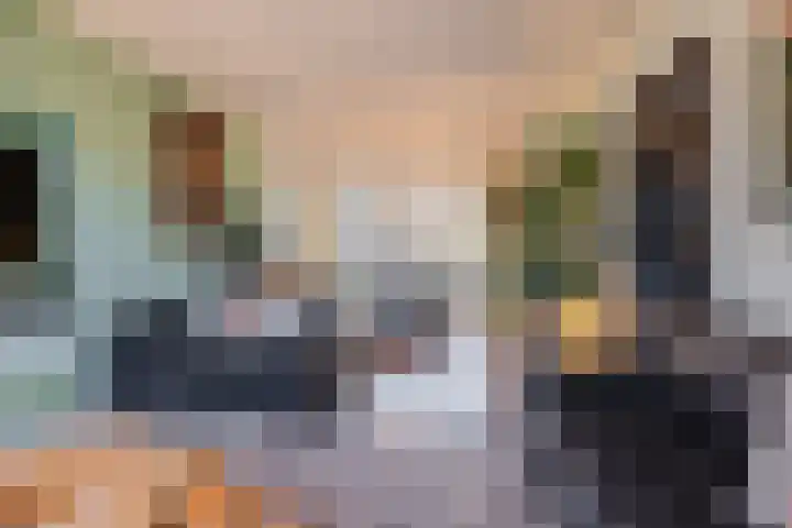 Julianalaan 80 Voorhout thumbnail 9
