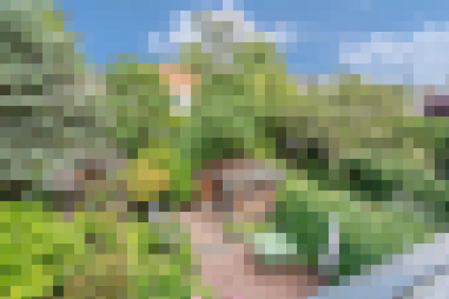 Julianalaan 82 Delft thumbnail 30