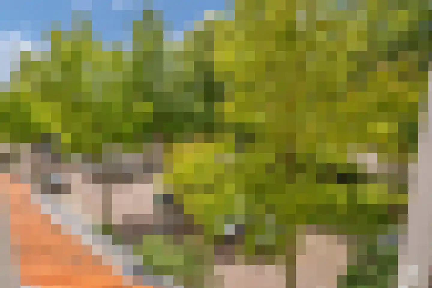 Julianalaan 82 Delft thumbnail 46