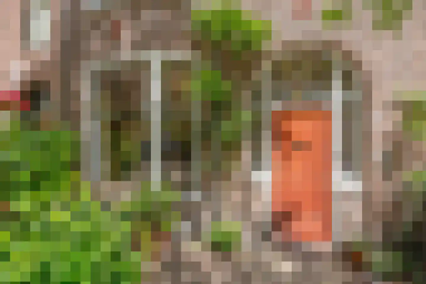 Julianalaan 82 Delft thumbnail 5
