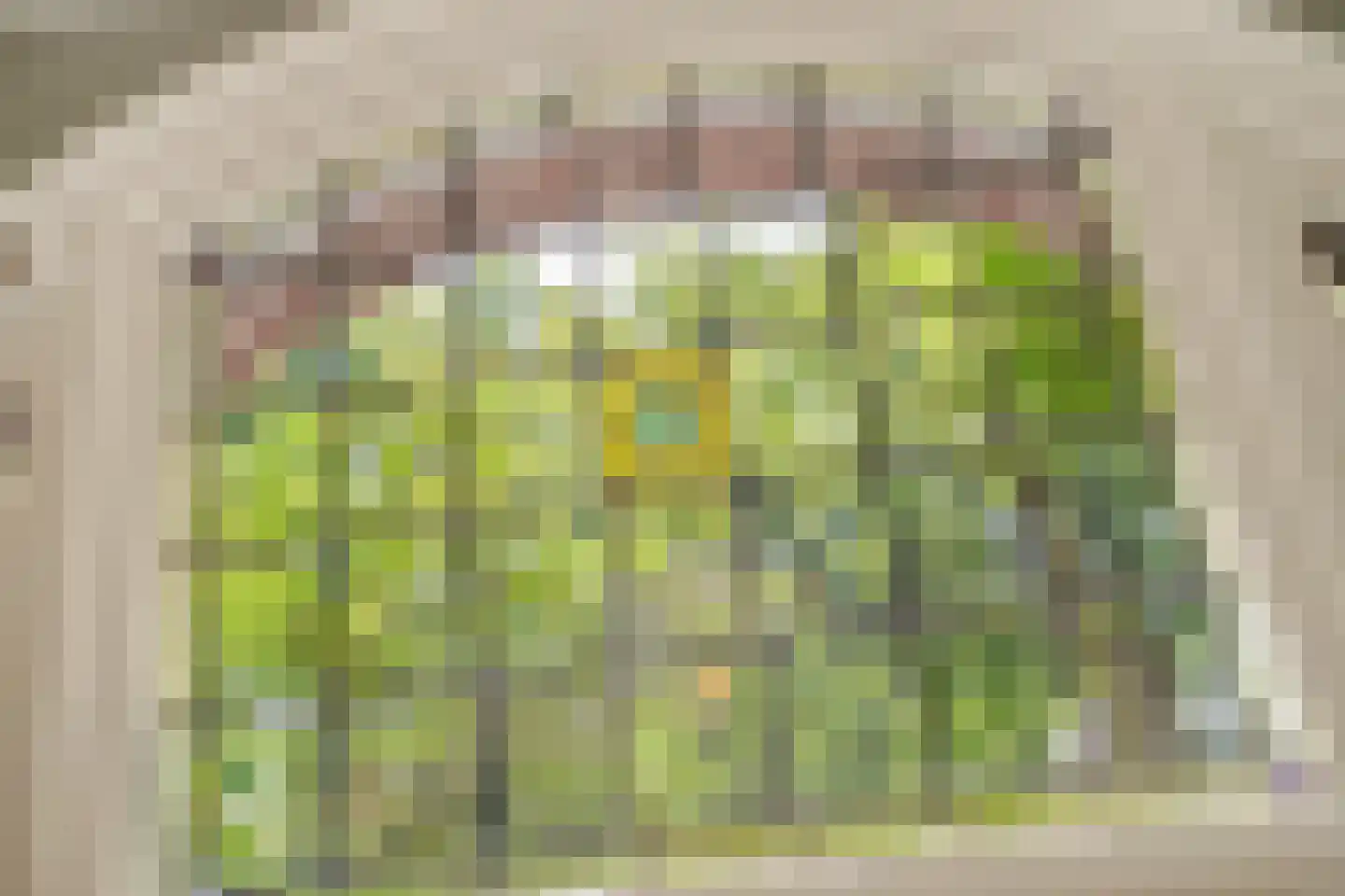 Julianalaan 82 Delft thumbnail 8