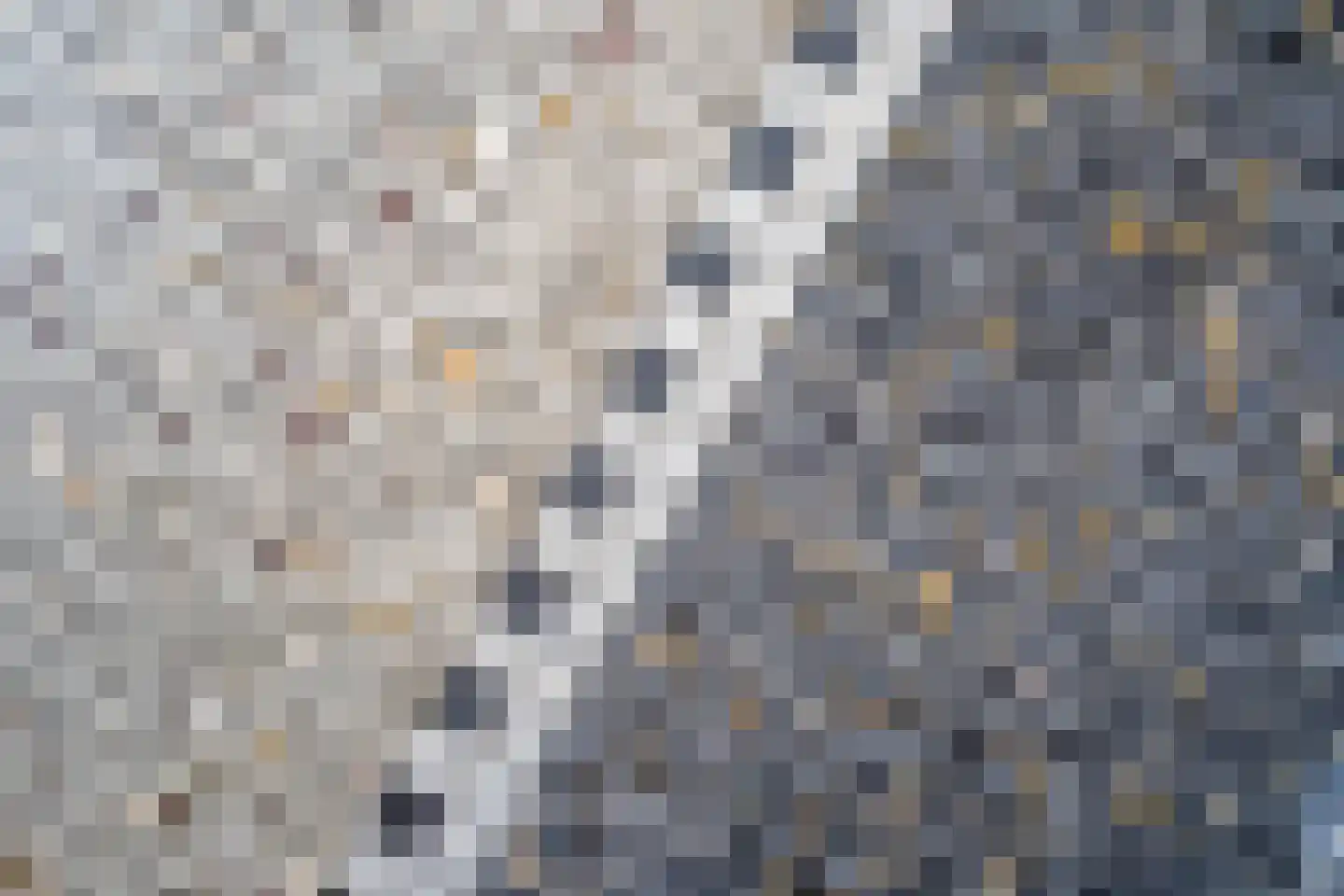 Julianalaan 82 Delft thumbnail 9