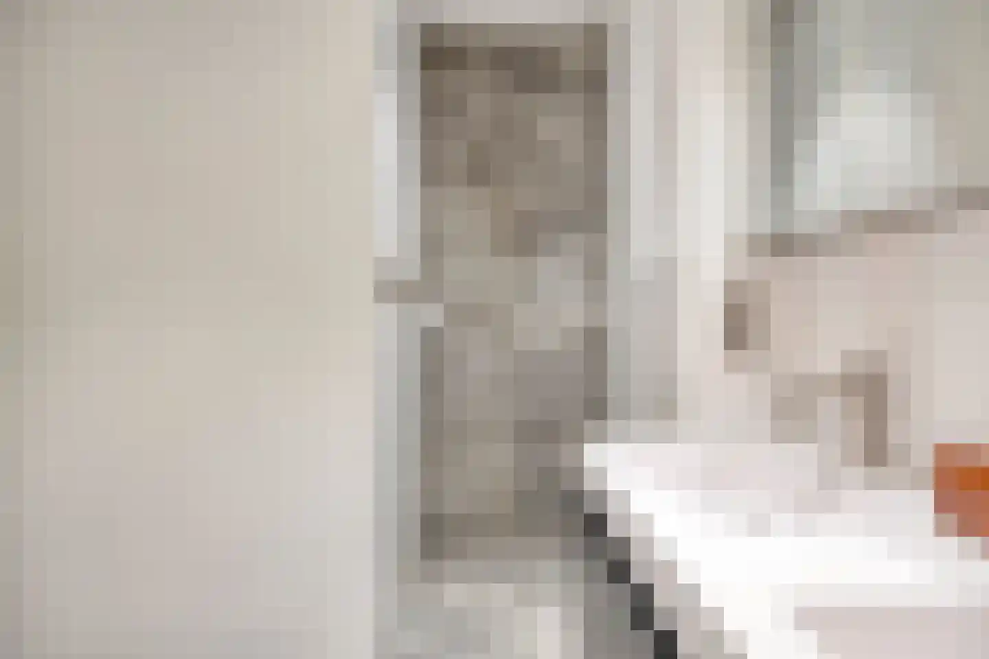 Julianalaan 82 Zeist thumbnail 24