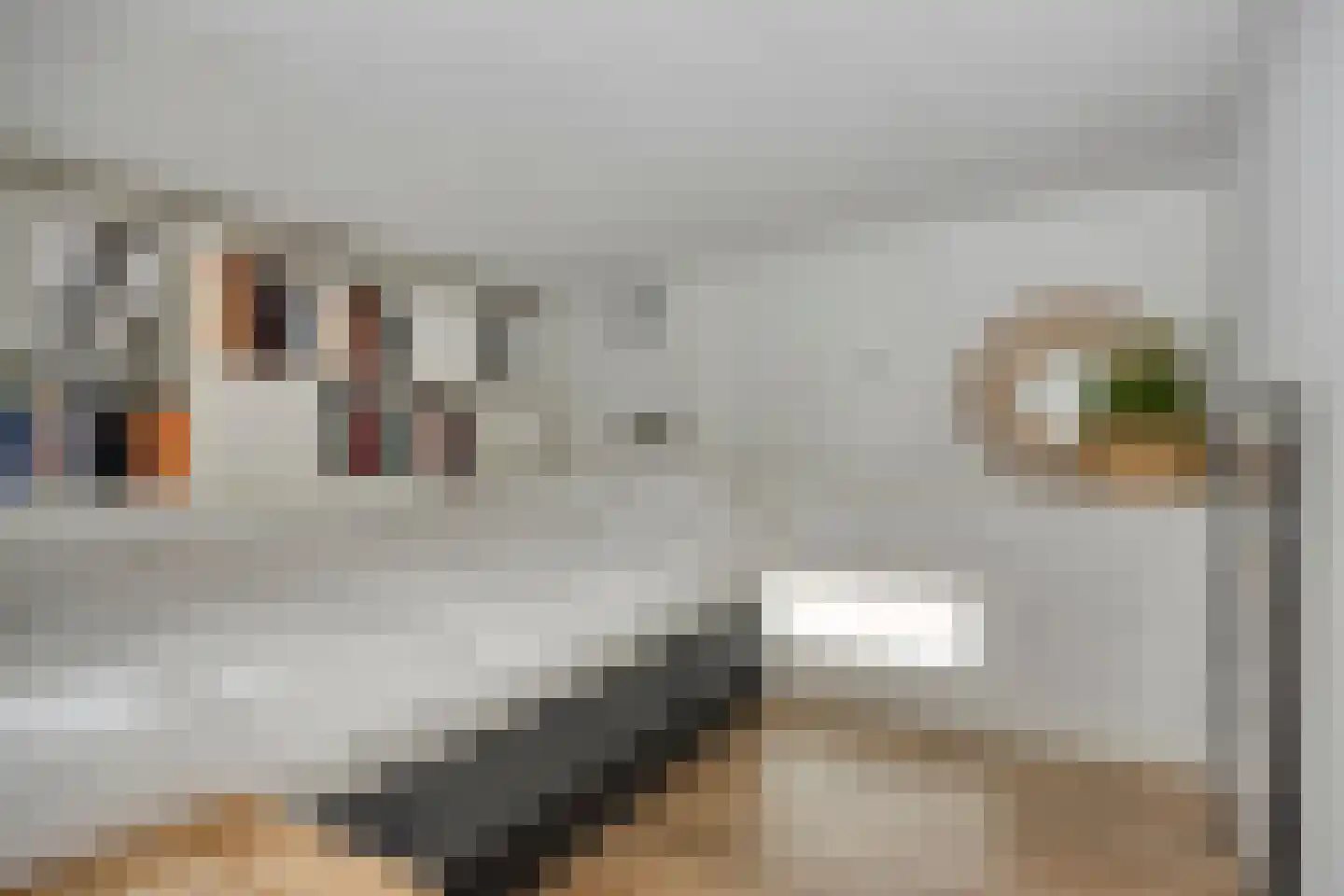 Julianalaan 82 Zeist thumbnail 30
