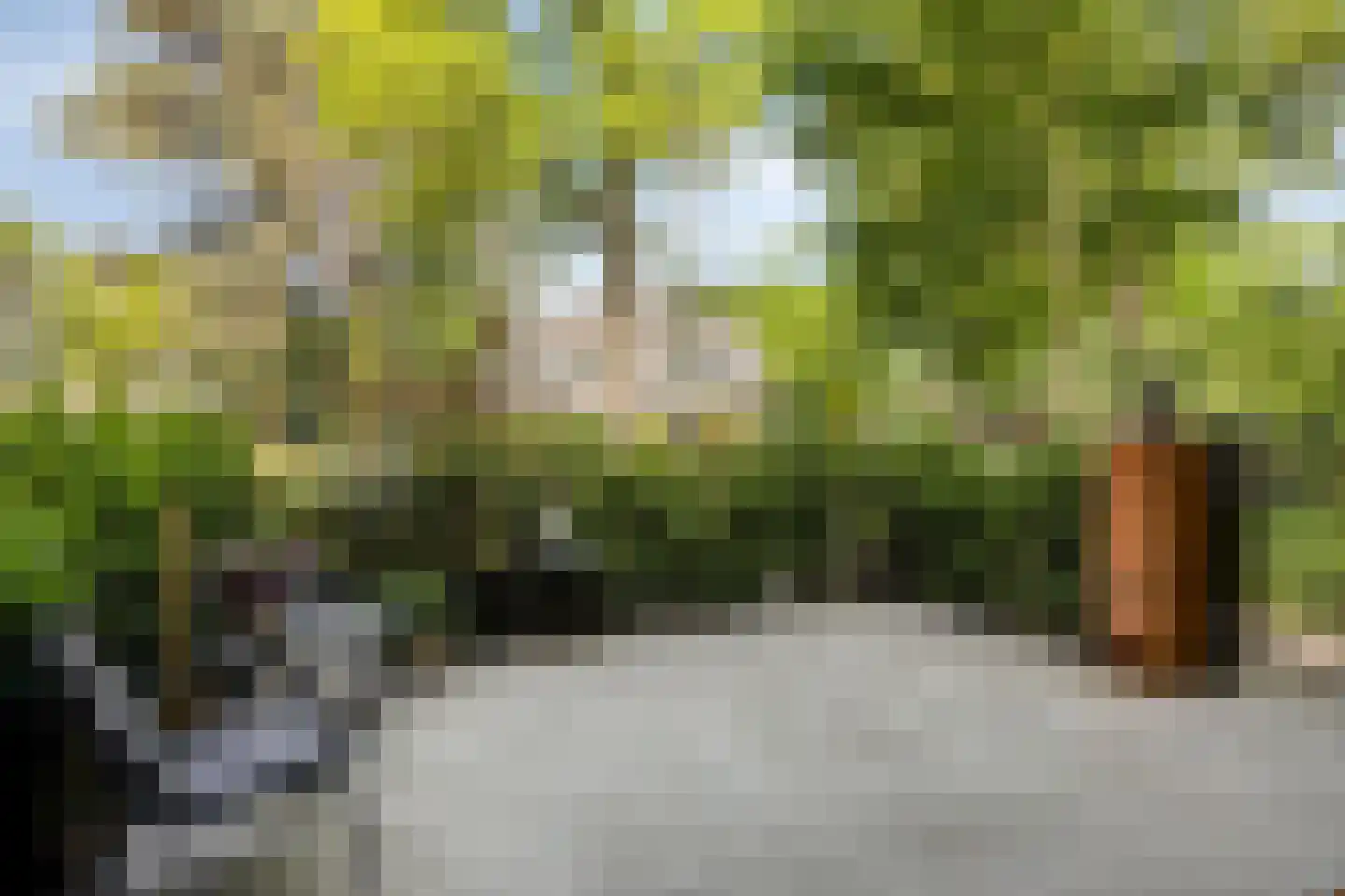 Julianalaan 82 Zeist thumbnail 31
