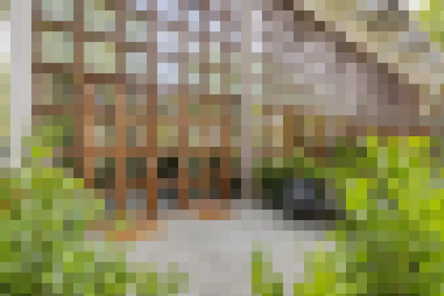 Julianalaan 82 Zeist thumbnail 32