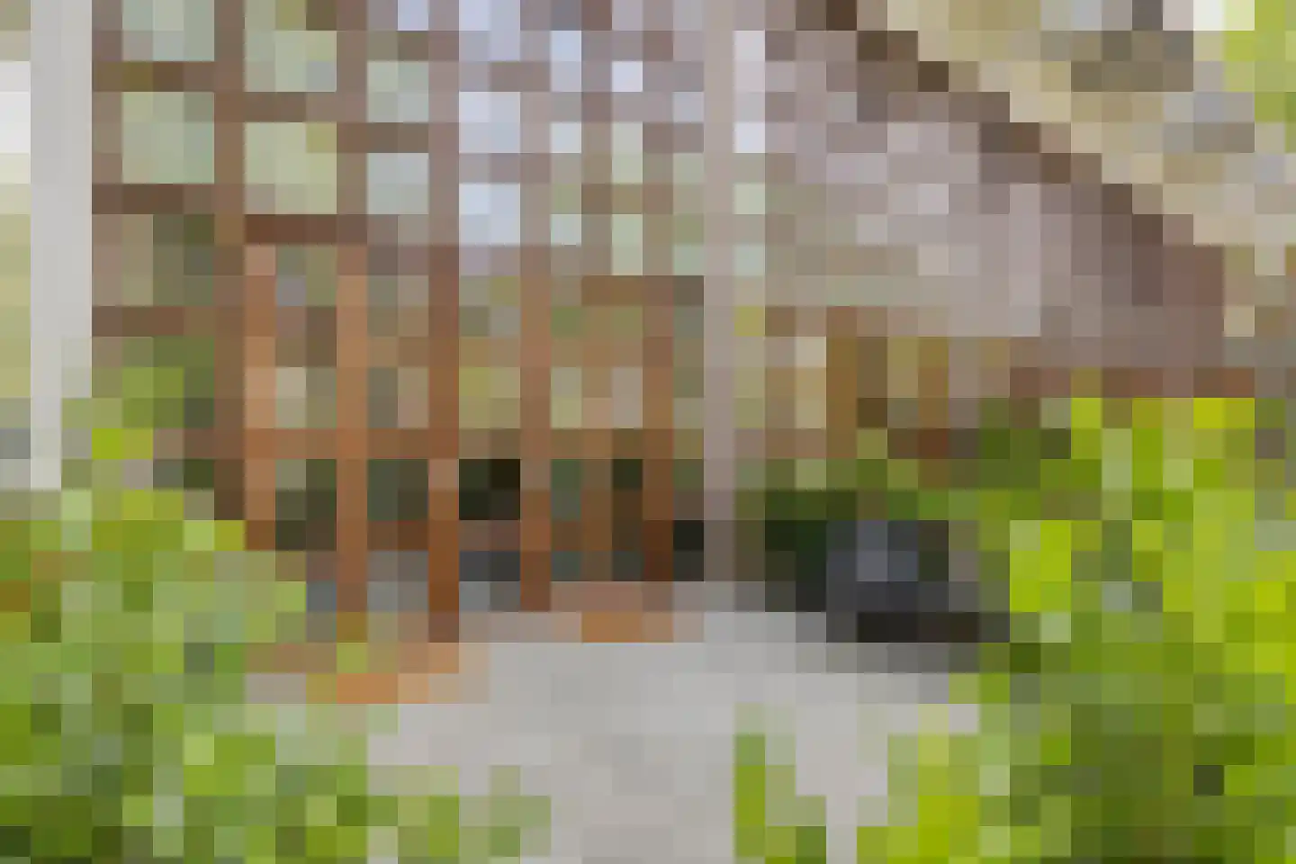 Julianalaan 82 Zeist thumbnail 32