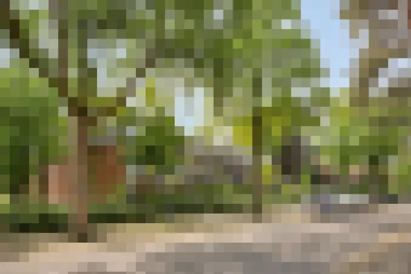 Julianalaan 82 Zeist thumbnail 39