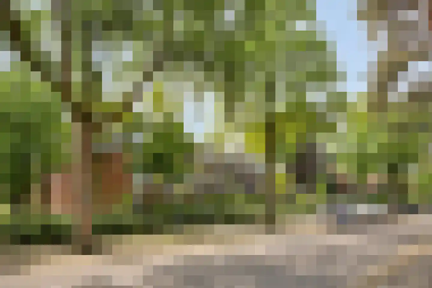 Julianalaan 82 Zeist thumbnail 39