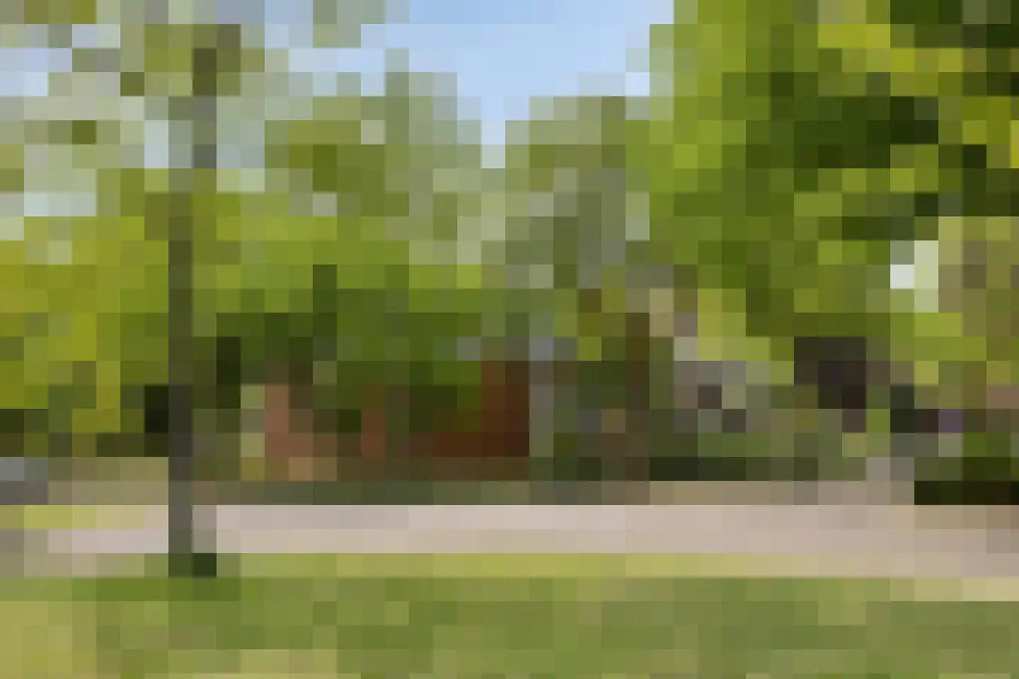 Julianalaan 82 Zeist thumbnail 41
