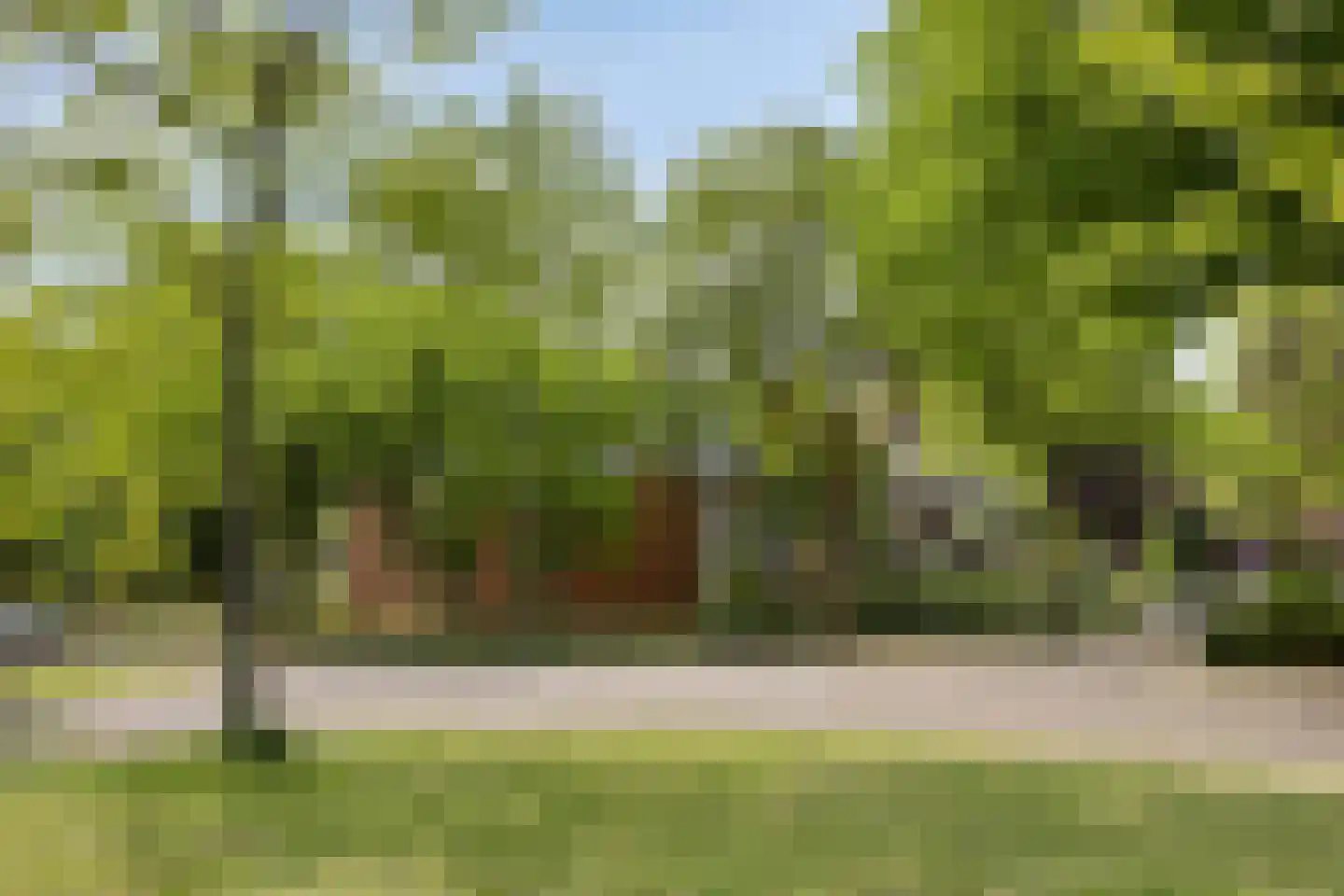 Julianalaan 82 Zeist thumbnail 41