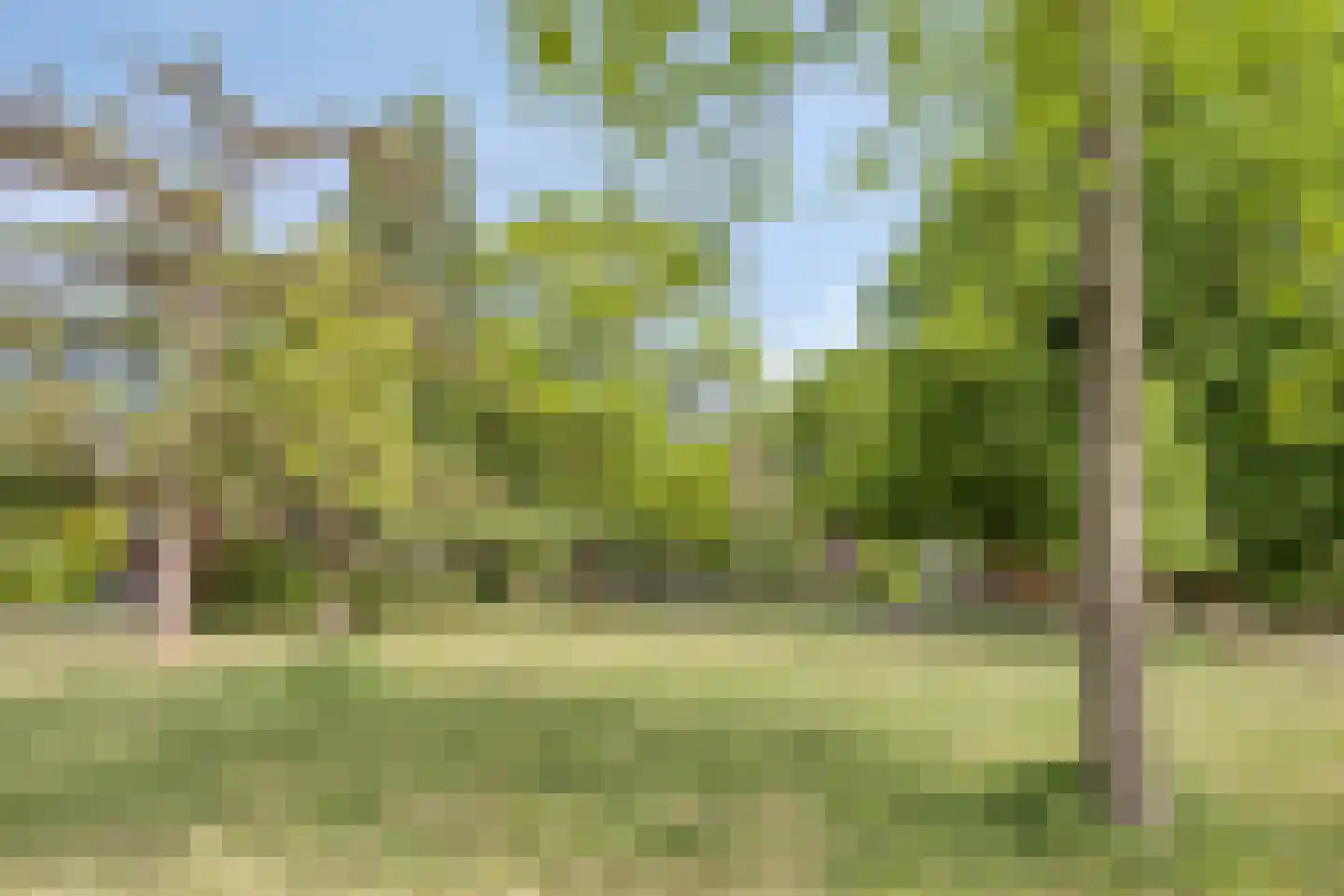 Julianalaan 82 Zeist thumbnail 42