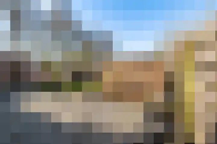 Julianalaan 82 Zuidlaren thumbnail 10