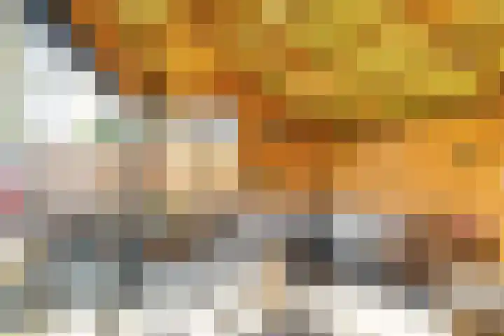Julianalaan 82 Zuidlaren thumbnail 18