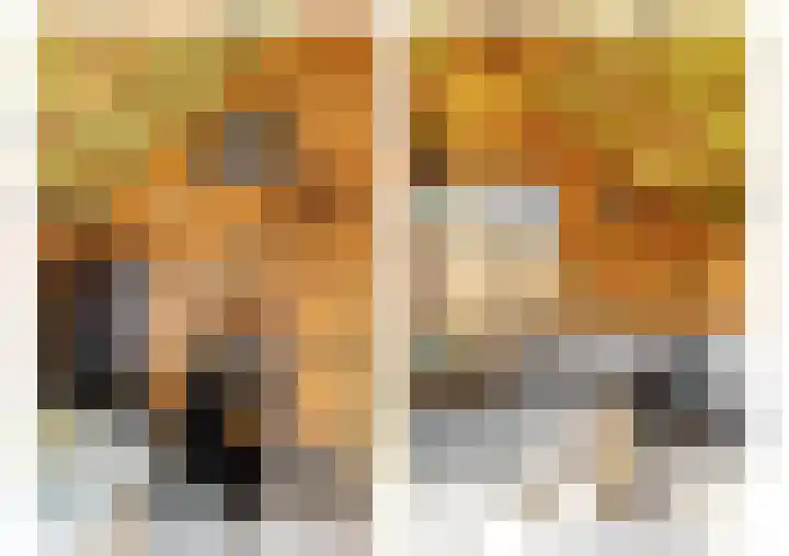 Julianalaan 82 Zuidlaren thumbnail 20