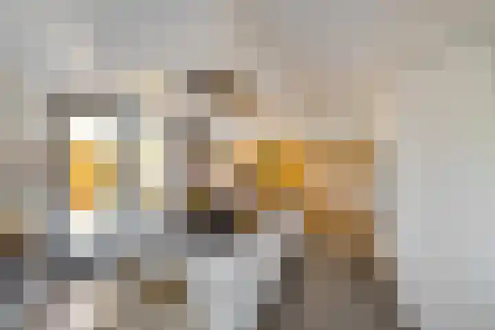 Julianalaan 82 Zuidlaren thumbnail 23