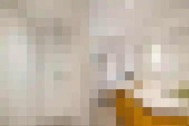 Julianalaan 82 Zuidlaren thumbnail 45