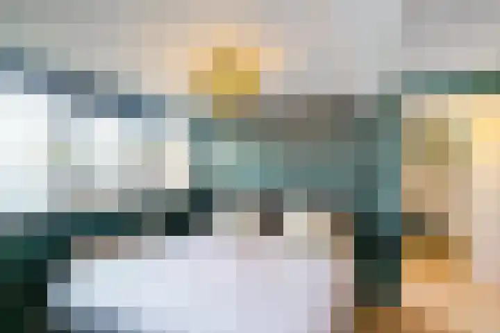 Julianalaan 82 Zuidlaren thumbnail 51