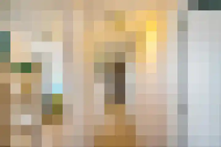 Julianalaan 82 Zuidlaren thumbnail 56