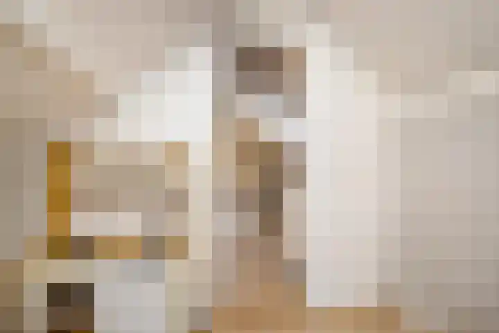 Julianalaan 82 Zuidlaren thumbnail 59
